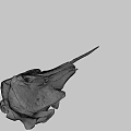Detailed Bird Skull With Long Beak Displayed On Gray Background 3d model