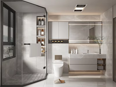 Modern Bathroom Interior Design With Glass Shower Enclosure Toilet And Vanity Mirror 3d model