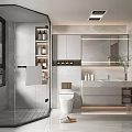 Modern Bathroom Interior Design With Glass Shower Enclosure Toilet And Vanity Mirror
