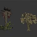 Different Plants with Leafy Branches Small Shrubs Fruits and Curved Branch on White Background