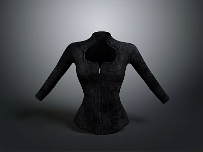 Stylish Black Long Sleeved Corset With Zipper And Unique Front Cut Design 3d model