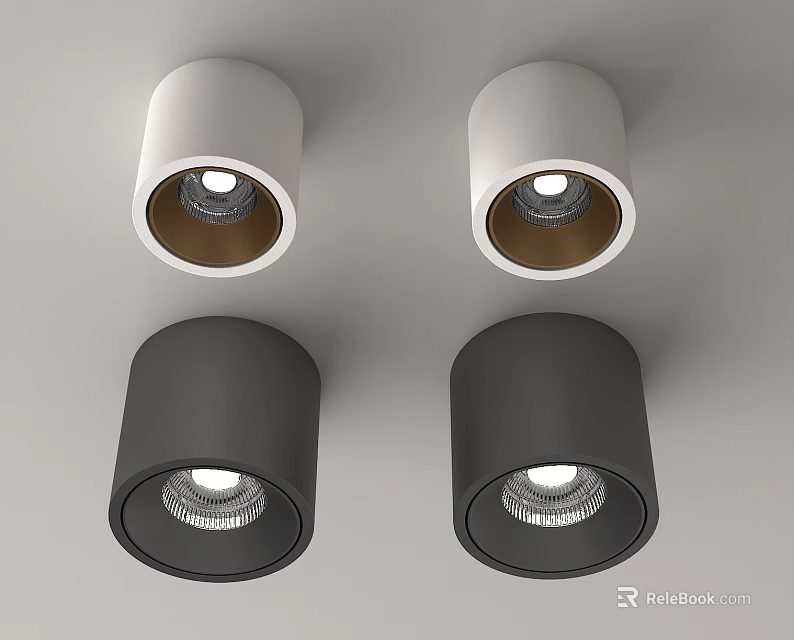 White and Black Cylindrical Modern Downlights and Spotlights with LED Bulbs for Ceiling 3d model 