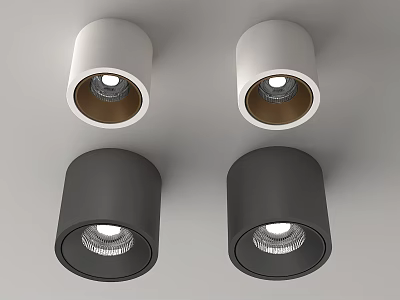 White and Black Cylindrical Modern Downlights and Spotlights with LED Bulbs for Ceiling 3d model
