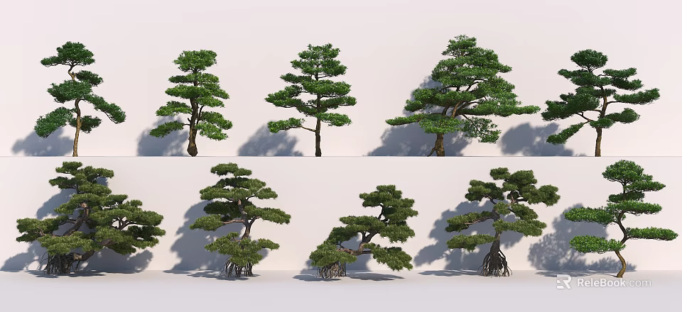 Various Form Landscape Trees With Distinctive Shapes And Lush Green Foliage 3d model 