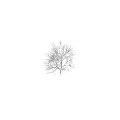 Snow Covered Arbor Trees With Frosted Branches In Winter Landscape 3d model