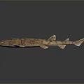 Realistic 3D Rendered Brown Striped Shark Aquatic Animal Model With Details