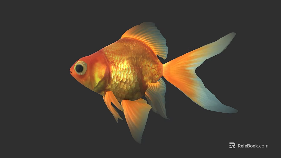 Vibrant Orange Goldfish With Shiny Scales And Large Tail On Dark Background 3d model 