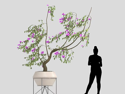 Potted Tree With Purple Flowers In White Ceramic Pot On Metal Stand 3d model