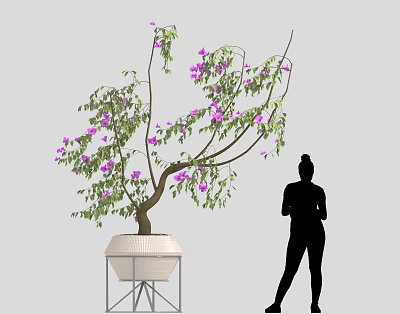 Potted Tree With Purple Flowers In White Ceramic Pot On Metal Stand 3d model