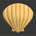 Marine Mollusk Animal Yellow Striped Seashell On Dark Surface With Shiny Reflection