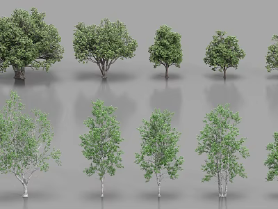 Various Arbor Tree Species With Diverse Foliage and Trunk Shapes 3d model