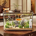 Clear Glass Indoor Aquarium With Goldfish Aquatic Plants Rocks And Sand