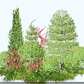 Various Green Flowering Shrubs With Vibrant Red Blooms In Garden Landscaping Design