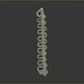 Golden Coiled Snake With Green Accent Isolated On Dark Background Reptile Closeup