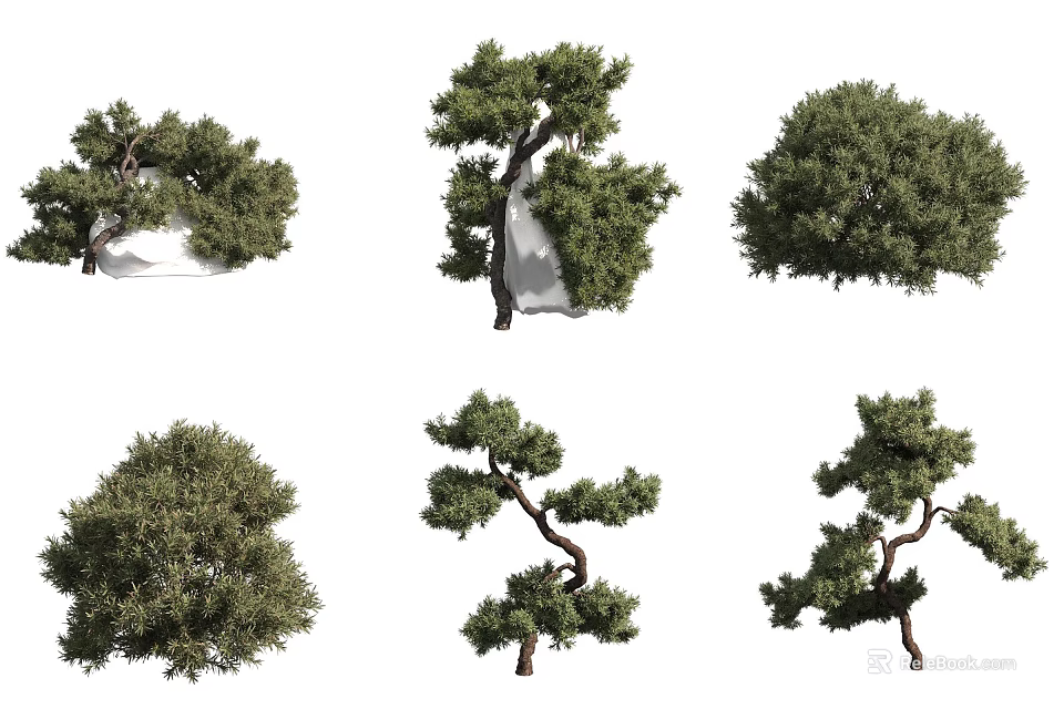 Different Types of Garden Trees with Lush Foliage and Various Shapes 3d model 