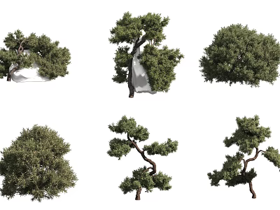 Different Types of Garden Trees with Lush Foliage and Various Shapes 3d model