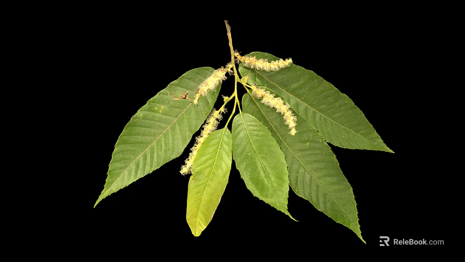 Vibrant Plant Branch With Multiple Green Leaves And White Flower Spikes 3d model 