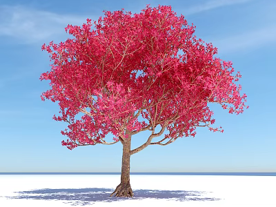 Vibrant Red Leaf Tree Standing Against Clear Blue Sky And White Ground 3d model