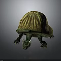 Green Turtle With Yellow And Brown Striped Shell And Scaly Textured Clawed Limbs Decorative Model
