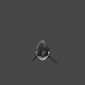 Black And White Orca With Dorsal Fin Swimming In Blue Water