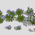 Lush Blue Hydrangeas with Green Leaves in Flower Pots on Gray Background