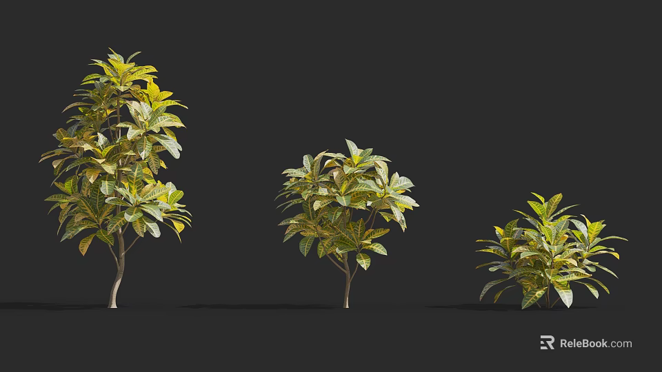 Beautiful Lush Shrubs In Different Sizes With Green And Yellow Foliage 3d model 