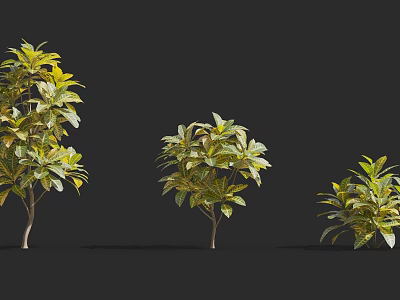 Beautiful Lush Shrubs In Different Sizes With Green And Yellow Foliage 3d model
