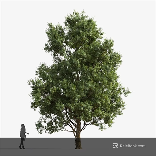 Tall Arbor with Lush Green Foliage and Person Silhouette for Scale 3d model 