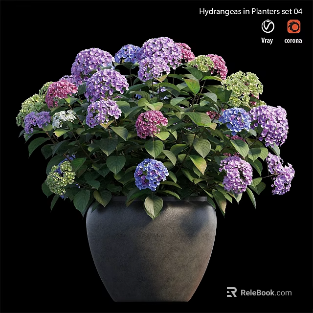 Gray Flower Pot With Blooming Purple Pink Blue White Hydrangea And Green Leaves Decorative Set 3d model 