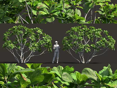 Lush Green Trees And Foliage With Person Standing Among Dense Plants 3d model