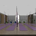 Modern Yoga Fitness Studio With Aerial Hammocks Yoga Mats And Exercise Balls