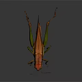 Detailed Green And Brown Grasshopper With Long Antennae And Hind Legs On Dark Reflective Surface