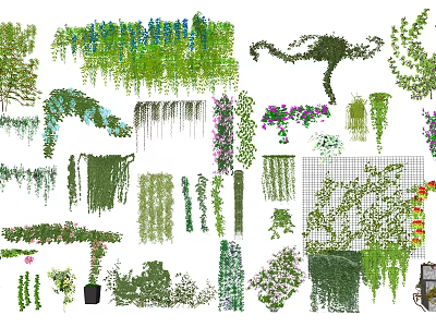 Various Climbing Hanging Vines With Green Leaves And Colorful Flowers For Garden Decor 3d model