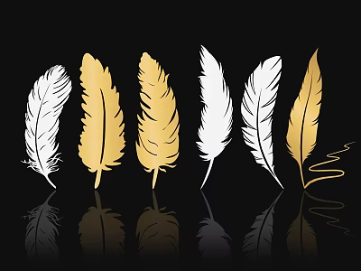 Elegant Gold And White Feathers Arrangement On Black Background With Reflections 3d model