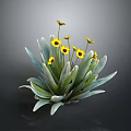 Lush Indoor Decorative Plant With Green Leaves And Vibrant Yellow Flowers