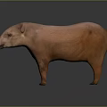 Pink Tapir 3D Model Standing on Gray Background with Reflective Surface 3d model