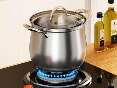 Stainless Steel Cooking Pot On Gas Stove In Kitchen 3d model