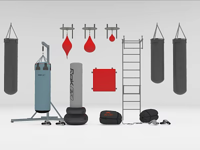 Boxing Sports Equipment Including Punching Bags Speed Bags Ladder And Training Mats 3d model