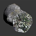 Green Plants And Moss Growing On Natural Tree Stump Decorative Piece