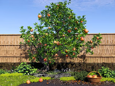 Fruit Bearing Tree with Green Leaves Red Fruits Bamboo Fence and Fruit Basket in Garden 3d model