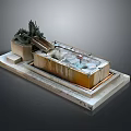 Ornamental Water Pool With Rockery And Stone Base Platform Design Elements 3d model