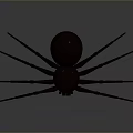Dark Spider Model With Long Legs On Gray Gradient Background