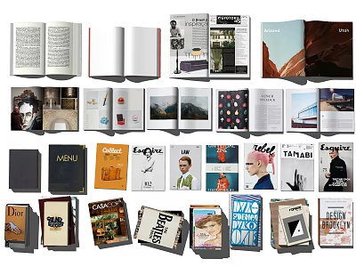 Various Books and Magazines With Colorful Covers Open Pages and Diverse Designs Collection 3d model