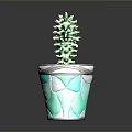 Indoor Cactus Plant In Teal And White Mosaic Decorative Pot On Dark Reflective Surface