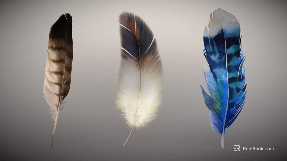 Feather Decorative Ornament Set With Brown Beige And Blue Watercolor Designs For Home Decor 3d model 