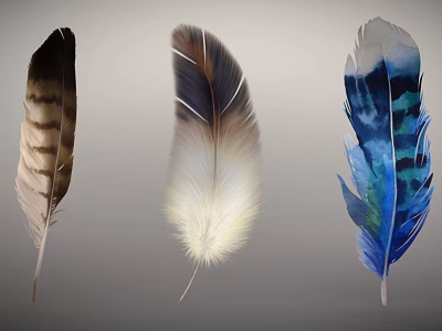 Feather Decorative Ornament Set With Brown Beige And Blue Watercolor Designs For Home Decor 3d model
