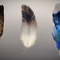 Feather Decorative Ornament Set With Brown Beige And Blue Watercolor Designs For Home Decor
