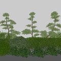 Modern plant flower border multi-head modeling tree green plant combination tree shrub 3d model