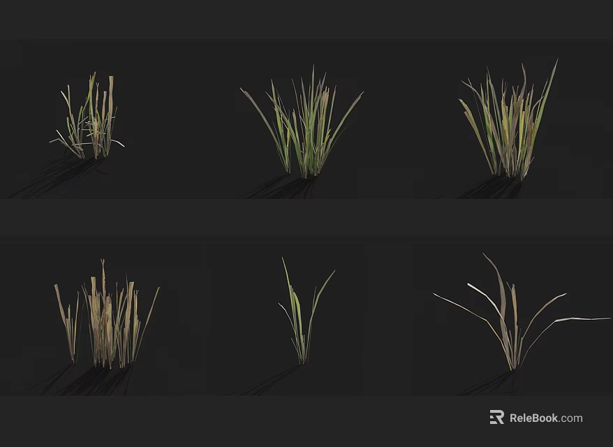 Different Grass Varieties 3D Models with Green Brown Tones Various Heights and Shapes 3d model 