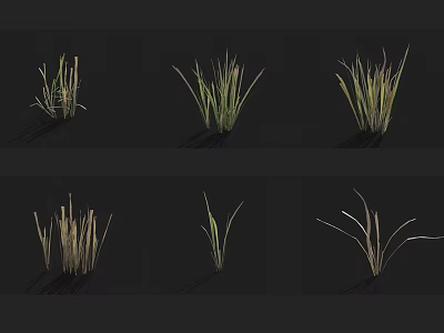 Different Grass Varieties 3D Models with Green Brown Tones Various Heights and Shapes 3d model